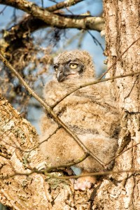 What took those humans so long to get me back up here?