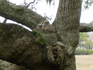 Settling into our new digs