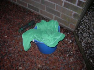 owlet down feb 21 001