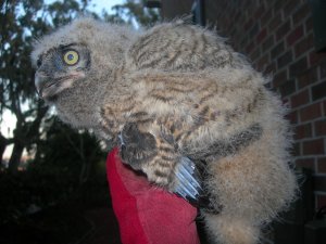 Being inspected for injury