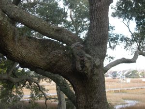 Snuggled in our new home