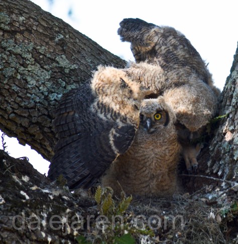 Clumsy. Clumsy. Clumsy.