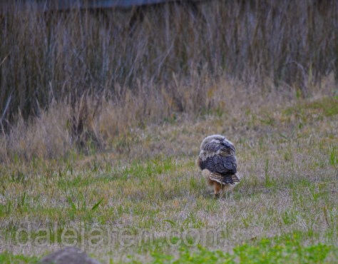 I am on a mission to find my parents or breakfast...