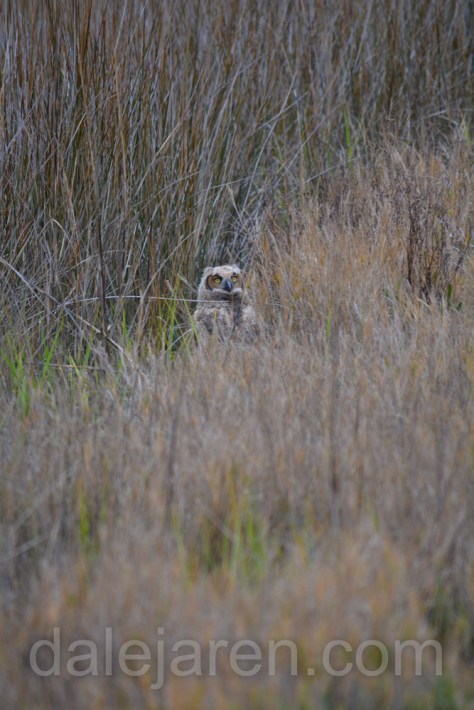 It was a really long, interesting journey. I can totally relate to the Geico Gecko...