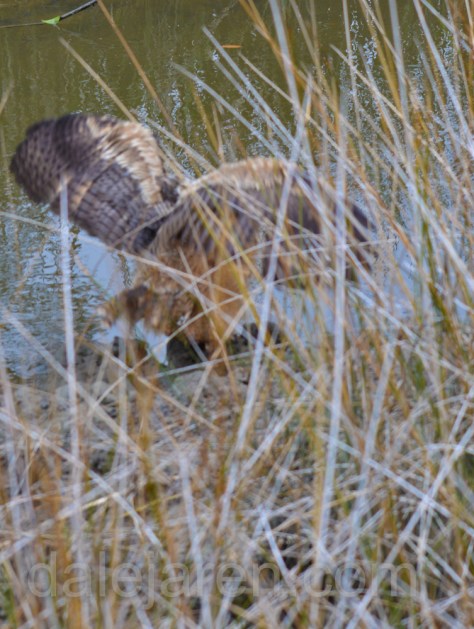I am all wet and SALTY!