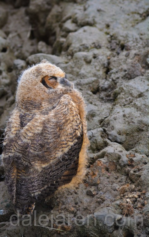 The tide is out but no one is giving me any advice or directions. There does not appear to be any ferry service....