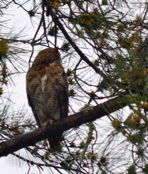 Parent can't even watch this time!