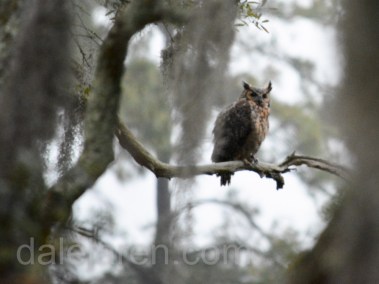 On the hunt early Wednesday morning
