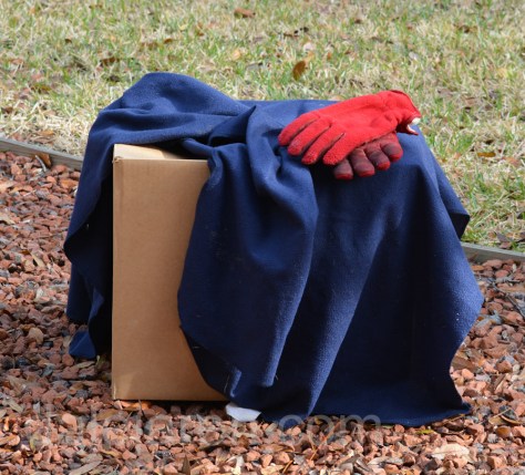 I cover box with blanket to hopefully settle it down 