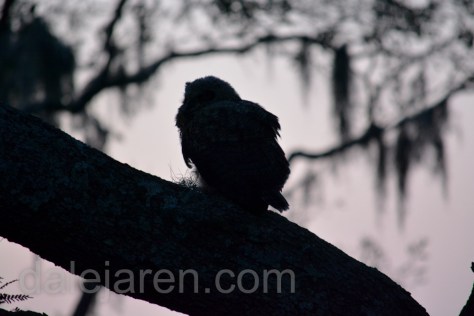 And I stay here almost all night