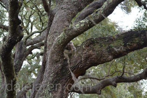 Zeroing in on the kids