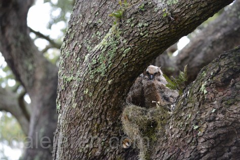 Mar 7 perspective getting closermore