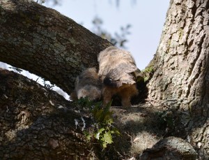 We really do not want to talk to you right now