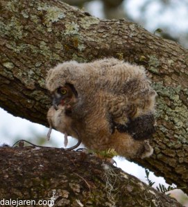 This may take a while...